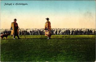 Hortobágy, Juhnyáj a Hortobágyon, magyar folklór (EK)