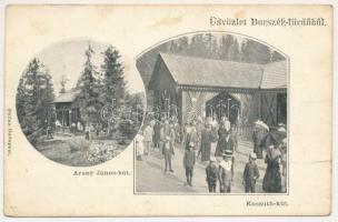 1903 Borszék-fürdő, Baile Borsec; Arany János kút, Kossuth kút / spring (szakadás / tear)