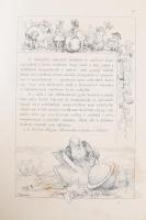 Az Osztrák-Magyar Monarchia írásban és képben. Bevezető köt. (I. kötet.) Bp., 1887, M. Kir. Államnyo...