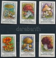 1986 Gombák vágott sor