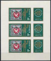 1974 INTERNABA vágott kisív / Mi 2956 imperforate mini sheet