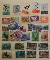 Állat motívum bélyegek az egész világból, 8 lapos közepes berakóban