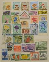 Virág és növény motívum bélyegek az egész világból, 8 lapos közepes berakóban