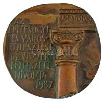 Kiss Nagy András (1930-1997) 1987. "Az Építésügyi és Városfejlesztési Miniszter Építészeti Nívódíja 1987" bronz díjérem (93mm) T:XF patina
