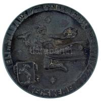 1947. "Téli Szabadság Csillagtúra - Kecskemét 1947 Jan 5" fém autósport(?) plakett. Sérült, hiányos dísztokban (69mm)