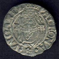 Rudolf 1579. Denár Ag ÉH.810a T:3