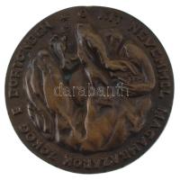 zz DN "Ő kit nevemmel magambazárok zokog e börtönben" egyoldalas, öntött bronz plakett. Szign.: CS (103mm) T:AU,XF patina