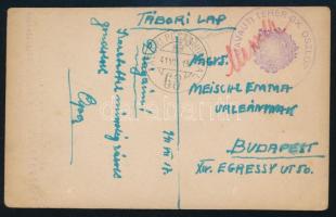 1941 Tábori posta képeslap "(MAVAUT) TEHER GK. OSZLOP" + "TP 68"