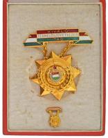 DN (~1970) "Kiváló Termelőszövetkezeti Tag" zománcozott, aranyozott bronz kitüntetés, eredeti tokban, miniatűrrel T:AU