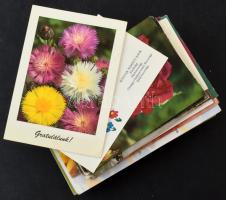 100 db MODERN üdvözlő képeslap / 100 modern greeting postcards