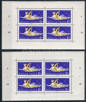 1961 ÁNY kisív látványosan eltolódott ÁNY felirattal, jobb oldalon 2, bal oldalon 10 mm a blokkszél távolsága (50.000)