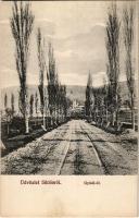 Siklós, Gyüdi út. Feiler Mariska kiadása (fl)