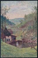 Csehszlovákia 1919