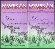 Klaniczay Gábor-S. Nagy Katalin: Divatszociológia I-II. Bp., 1982, Tömegkommunikációs kutatóközpont. Kiadói papírkötés, jó állapotban.