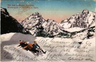 Tátra, Magas-Tátra, Vysoké Tatry; Téli élet a Magas Tátrában, szánkózás / Wintersport in der hohen Tatra / winter sport, sledding (felületi sérülés / surface damage)