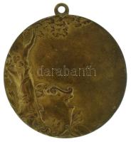 Svájc 1940 k. kétoldalas bronz cserkészmedál füllel, "Huguenin" gyártói jelzéssel (40mm) T...