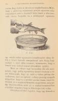 Lázár Kálmán - Kriesch János: Hasznos és kártékony állatainkról. I-II. rész. [Egy kötetben]. I. rész...