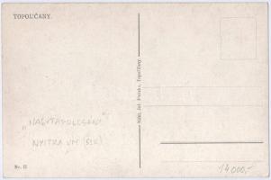 Nagytapolcsány, Topolcany; Továrnicky kastiel, Zámek Podhradie / Tavarnoki (Stummer) kastély, várrom...