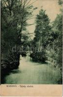 Rozsnyó, Roznava; Tájkép részlet / riverside (EK)