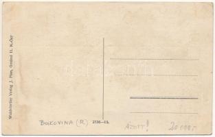 Iacobeni, Jakobeny (Bukovina, Bukowina); general view. Verlag J. Plan (ázott / wet damage)