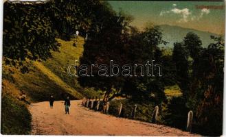 1921 Szklenófürdő, Sklené Teplice; A fürdőhöz vezető út / road to the spa (b)