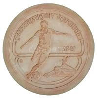 1982. 100Ft "Labdarúgó világbajnokság 1982" emlékérme gipsz hátlapi NEGATÍV nagyminta (158mm) T:AU Hungary 1982. 100 Forint "Football World Cup 1982" coin's plan reverse NEGATIVE large plaster sample (158mm) C:AU Adamovszky katalógusban EM68 szám alatt szerepel / Adamovszky's catalogue EM68