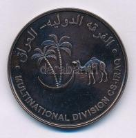 Irak / Al Hillah 2005. "Magyar Szállító Zászlóalj / Multinacionális Hadosztály Közép-Dél Irak&q...