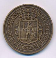 Bognár György (1944-) 1988. "MÉE Nógrád megye - Nógrádi várak sorozat Buják vára / Sigillum Com...