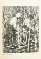 Lázár Béla: Egy magyar gyűjtemény. Petrovics Elek előszavával. Bp., 1922., Légrády. Rendkívül gazdag...