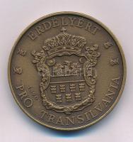 Bognár György (1944-) 1990. "Erdélyért - Pro Transilvania" kétoldalas bronz emlékérem "Proof" jelzéssel (42,5mm) T:AU