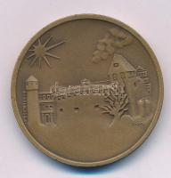 Csúcs Ferenc (1905-1999) 1969. "Budapesti Éremgyűjtők Egyesülete" kétoldalas bronz emlékér...