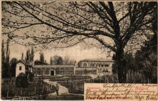 1903 Szliács, Sliac; Park részlet. Kerekes Miklós kiadása / park (ragasztónyom / glue marks)