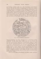 Jaennicke, Friedrich:
Grundriss der Keramik in bezug auf das Kunstgewerbe. Eine historische Darstel...