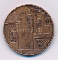 Fritz Mihály (1947-) / Szabó Géza (1939-2018) 1995. "MÉE XXV. Vándorgyűlés / Székesfehérvár&quo...