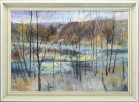 Kovács Antal (XX. sz. vége): Erdőrészlet (Szerencs környéke?). Olaj, vászon, kartonon, jelzés nélkül. Hátoldalán 1986-os zsüri címkén a festő bélyegzésével. Dekoratív fakeretben. 50×70 cm