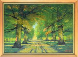 Buka Károly (XX. sz. vége): Őszi erdő. Olaj, farost, jelzett. Hátoldalán címkével. Dekoratív fakeretben. 50×70 cm