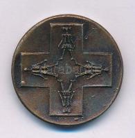 1971. "50 éves a Magyar Ifjúsági Vöröskereszt 1921-1971" kétoldalas, bronzpatinázott emlék...