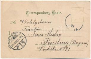 1901 Burg Helfenstein (Geislingen an der Steige), Gesamtansicht der inneren Burg vom Balkon des vier...