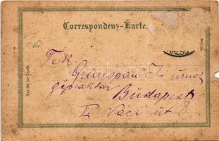 Karlovy Vary, Karlsbad; Alte und Neue Wiese, Schlossbrunn / street view, railway, castle, fountain. ...