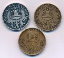 Tornay Endre András (1949-2008) DN "Balassagyarmat" (2xklf) kétoldalas bronz- és ezüstpatinázott bronz emlékérem pár + Gaál Gyula DN "Sárospatak" kétoldalas bronz emlékérem (32mm) T:AU