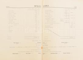 1905 Az Első dunaszerdahelyi gőzmalom részvény-társaság (Felvidék) mérleg- és eredményszámlája, az i...