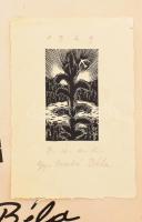 Dante Alighieri: La Divina Commedia. Gy. Szabó Béla 20 db fametszetével. Kolozsvár, 1977, Dacia. Mag...