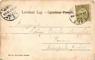 1906 Fiume, Rijeka; Castello di Tersatto. Divald Károly 722. sz. / Trsat castle (EB)