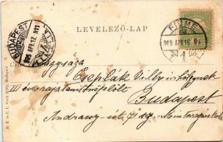 1905 Fiume, Rijeka; Piazza Adamovich / tér, szálloda, üzletek. M. T. és F. I. Koch Willy / square, h...