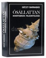 Géczy Barnabás: Ősállattan. Invertebrata Paleontologia. Bp.,1993, Nemzeti Tankönyvkiadó, 595+1 p. Kiadói kartonált papírkötés.