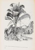 Géczy Barnabás: Ősnövénytan. Bp.,1972, Tankönyvkiadó, 356+2 p.+9 (kétoldalas képtáblák, XVIII) t. Ki...