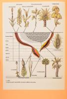 Géczy Barnabás: Őslénytan. Bp.,1986, Tankönyvkiadó, 474 p. 2. kiadás. Kiadói kartonált papírkötés, k...