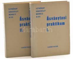 Sztrókay Kálmán - Grasselly Gyula - Nemecz Ernő - Kiss János: Ásványtani praktikum I-II. köt. Bp., 1971-1970, Tankönyvkiadó, 402 p.+IV t.; 494 p.+ II t. Kiadói nyl-kötések,kissé kopott borítóval. Megjelent 2500 példányokban.