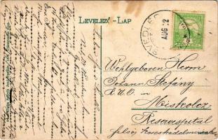 Svedlér, Schwedler, Svedlár (Szepes, Zips); látkép, Evangélikus templom. Szlovik Jenő kiadása / gene...