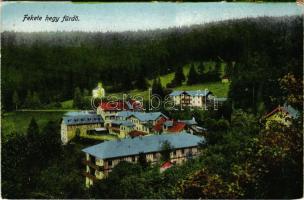 Feketehegy-fürdő, Feketehegy, Schwartzenberg, Cernohorské kúpele (Merény, Vondrisel, Nálepkovo); látkép, szálloda. Vasúti Levelezőlapárusítás, K. J. Bp. 1918/22. (Rb)